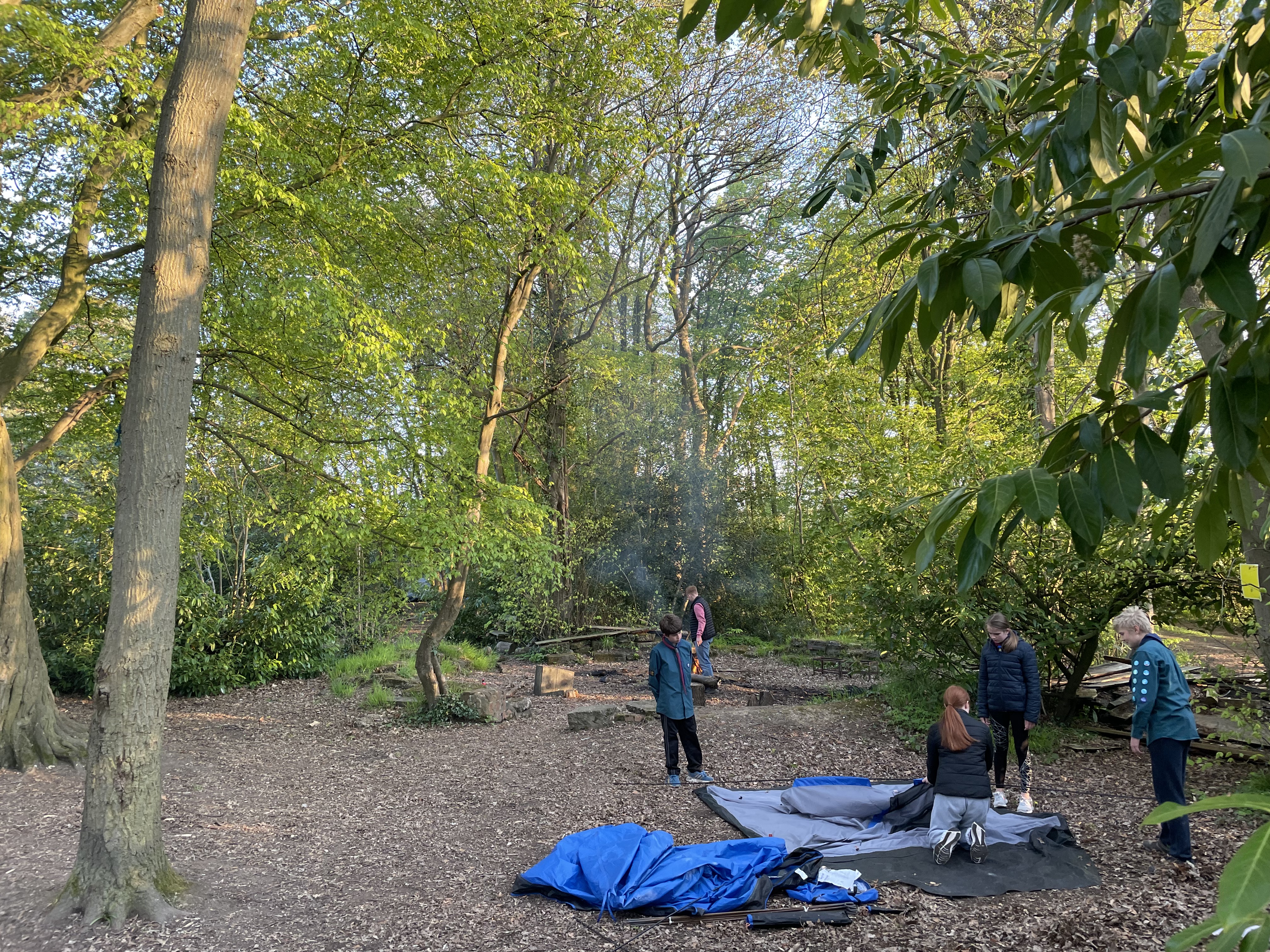 Scouts Pitch Tents